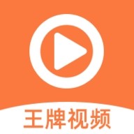 老司机“在线开车”网APP应用